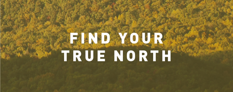 Find Your True North